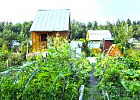 Проблемами садоводов и огородников займется специальная комиссия при Правительстве РФ